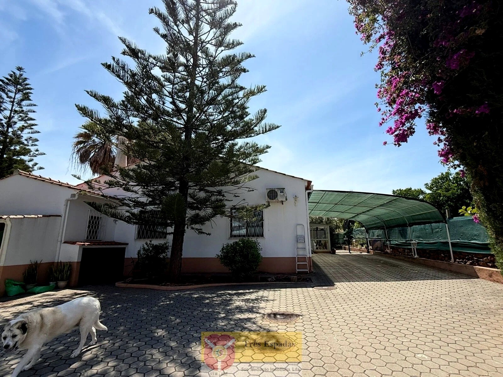 Two charming country houses near Silves — photo 8